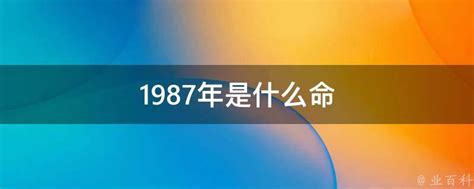 1987年是什么年|1987年是什么年